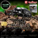 《$UPER TOYS》6月預購 GASHAPON限定 盒玩 轉蛋 扭蛋 生物大圖鑑 象兜蟲和赫克力士長戟大兜蟲 昆蟲