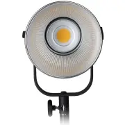 Nanlite Forza 200 5600K LED monolight