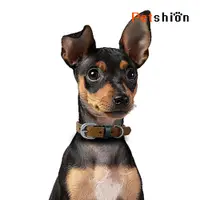 在飛比找松果購物優惠-【Petshion】寵物項圈 頸圈 真皮項圈 C3-M (8