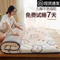 在飛比找蝦皮購物優惠-2022 new memory foam topper ma