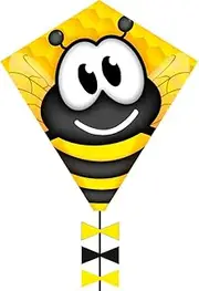 HQ Design Ecoline Eddy Children's Kite 50 cm Single Line from 5 Years 50 x 45 cm + 2.5 m Dragon Tail with 10 kp Polyester Cord 25 m on Handle 2-5 Bft (Bumble Bee)