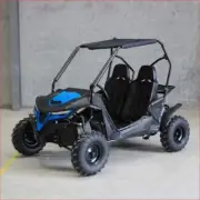 2025 NEW - Cheetah Kids Off Road Buggy 210cc Double Seater Go Kart QUAD ATV