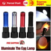 Egg Candler LED Lamp Cool Light Chicken Duck Quail Hatching Candling Incubator
