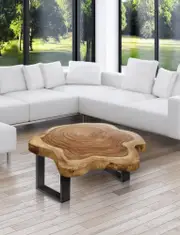 Wood Round Coffee Table xl 103 cm across one of kind 100% unique designed by nature