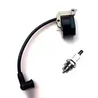 Unique Ignition Coil Ignition Coil Module High Quality Plastic & Aluminum