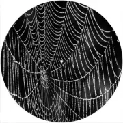 Slipmat Scratch Pad Felt for 12" Turntable LP DJ Record Player SPIDER WEB WET 3