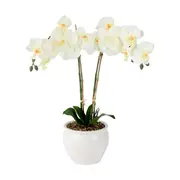 Artificial White Orchid in Vase
