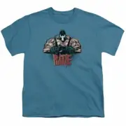 Bane Bane Pump You Up Kids Youth T Shirt Licensed Suicide Squad DC Comics Slate