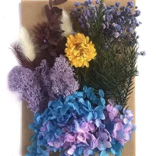 【BJ SHOP】乾燥花 量販包 浮游花 蠟燭 花藝材料包 蠟燭 乾花 居家裝飾(乾燥花 永生花)