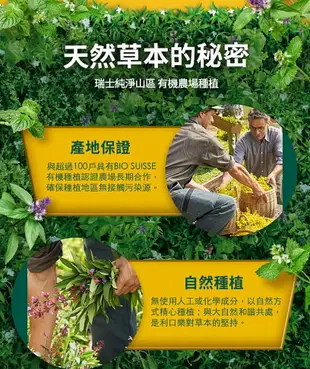 瑞士利口樂草本潤喉糖 草本喉糖 原味/檸檬香草/紫錐花蜂蜜檸檬