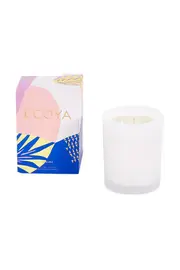 Sakura Madison Jar Candle--ECOY-CMAS145S20