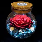 Preserved Real Roses with Light Wishing Bottle,Eternal Rose，Never Withered Flowers,for Bedroom Par Table Decor, Anniversary,Vale ine's,Mother's Day,a s for Women (RED)