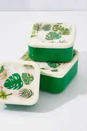 Tropical Palm Set Of 3 Snack Boxes--REX-RX7SNT3G