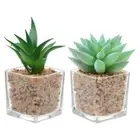 2 Pcs Simulation Succulent Bonsai Artificial Plants with Pot Small Pots