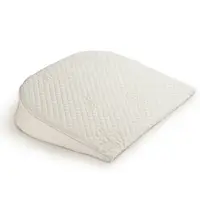 在飛比找樂天市場購物網優惠-格蕾莎 GreySa 母嬰專用仰角枕 台灣製 防溢奶三角枕 