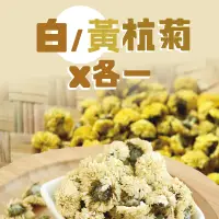 在飛比找台灣好農優惠-(2罐組)苗栗銅鑼產銷履歷白杭菊、黃杭菊各1罐