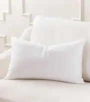 Belle Feather Cushion Insert 60cm by 40cm