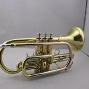 Lacquer Gold B Tone Cornet Professional Performance Instrument - Brass Body
