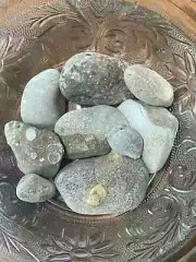Natural Ohio Rocks For Tank Decorating- Neat Agate and Quartz Fossil Set