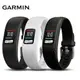 【全新公司貨 清庫存，限量降】GARMIN vivofit 4 智慧手環 彩色螢幕 一年免充電 ＊原廠保固由開機註冊後開始計算