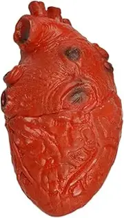 shjxi Realistic Human Heart Prop - Spooky Halloween Props Beating Heart - Fake Heart, Haunted House Decorations Props for Haunted House, Decoration, Halloween, Home