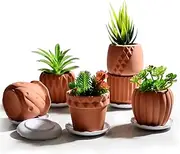 B SEPOR Set of 6 White Ceramic Planters Porcelain Mini Flower Pot for Small Indoor Plant Succulent Cactus with Drainage and Wooden Saucer Tray (White Owls)