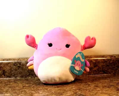 Squishmallows Cailey The Crab Pink 7.5" Plush Sea Life NWT