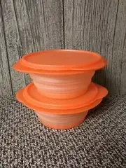 Tupperware Flat Out Container Set Of 2