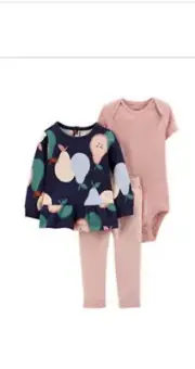 Toddler Girl Carter’s 18 months (3 Piece Set)