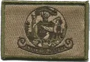 VELCRO® BRAND Fastener Morale HOOK PATCH State of Idaho MULTITAN 3x2"