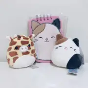 Squishmallows Gary The giraffe Clips & Cam The cat Clips Bundle BNWT KellyToy