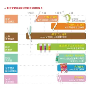 Combi 日本康貝 teteo 兒童刷牙 日製牙刷 握把式 嬰兒刷牙 訓練器組 多款可選