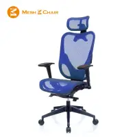 在飛比找momo購物網優惠-【Mesh 3 Chair】華爾滋人體工學網椅-附頭枕-藍色
