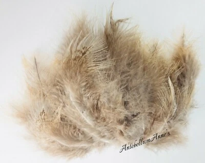New Zealand Ethically Sourced Wild Female Peacock Cafe Au Lait Feather Bundle