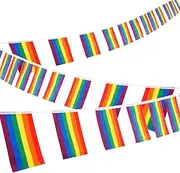 Whaline 38 Flags Gay Pride Banner, Rainbow String Bunting Indoor/Outdoor for LGBT Festival Party Celebration Decoration