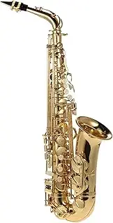 Eb Alto Saxophone Brass Lacquered Gold E Flat Sax 802 Key Type Woodwind Instrument with Cleaning Brush Cloth Gloves Strap Padded Case