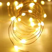 Copper Wire Solar 100 LED Light Fairy Twinkle Warm White Decorative for Outdoor