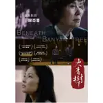 合友唱片 實體店面 大青樹下 歸亞蕾 吳嘉星 BENEATH THE BANYAN TREE DVD