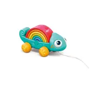 Hola Rainbow Chameleon