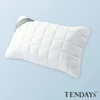 在飛比找樂天市場購物網優惠-TENDAYS 恬褋仕備長炭枕用保潔墊(枕頭用、鬆緊帶式、單