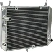 ALUMINUM RADIATOR Compatible For Yamaha FJR1300 FJR 1300 2001-2005 2001 2002 2003 2004 2005