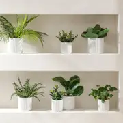 Artificial Elly Potted Succulent [MUSLELLPSS22]