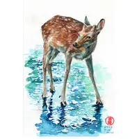 在飛比找蝦皮購物優惠-鹿Sika deer 明信片105x148mmmax 葉于聖