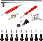 QISF 25Pcs Tyre Valve Stem Puller Tools Set - 10Pcs TR412 Snap-in Valve Stems with 10Pcs Valve Stem Cores, 1Pcs 4-Way Valve Tool, 1Pcs Dual & 1Pcs Single Head Valve Core Remover Installer Tool