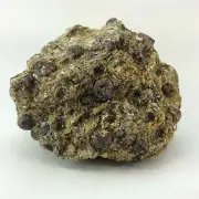 Rough Garnet in Mica Specimen Stone of Health Metaphysical