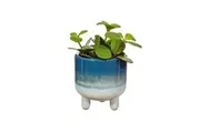 Sass & Belle: Mojave Glaze Blue Mini Planter (8cm)