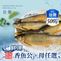 在飛比找生活市集優惠-【雪莉朵辣嚴選】宜蘭鮮凍公香魚/母香魚任選500g