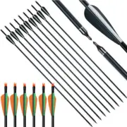 6-24X 31" Fiberglass Arrows Archery Hunting Arrow Target Compound Bow Screw Tip