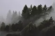 Landscape mist pine trees nature Custom Gaming Mat Desk