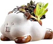 DIYOMR 5 Inch Animal Planter, Cartoon Panda Shaped Ceramic Pots Small Flower Pot Plant Container for for Office Home Desktop Indoor/Outdoor Decor- Plants Not Included